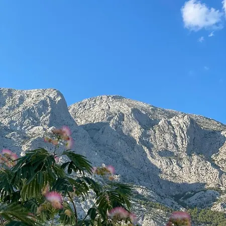 Heaven's View *