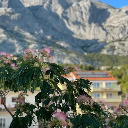 Heaven's View Konukevi